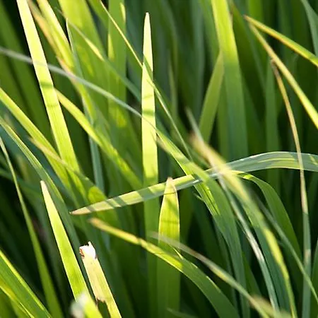 Torre De Villademoros منزل ريفي *