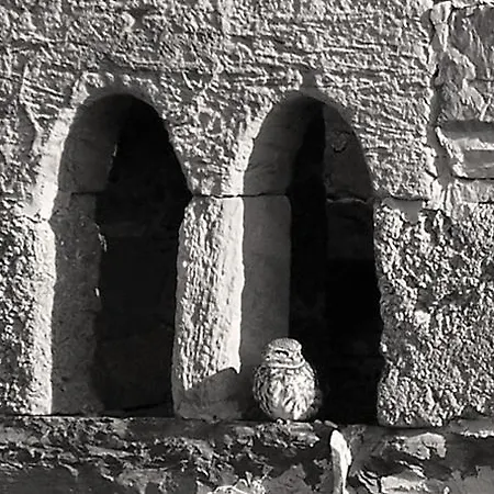 منزل ريفي Torre De Villademoros *