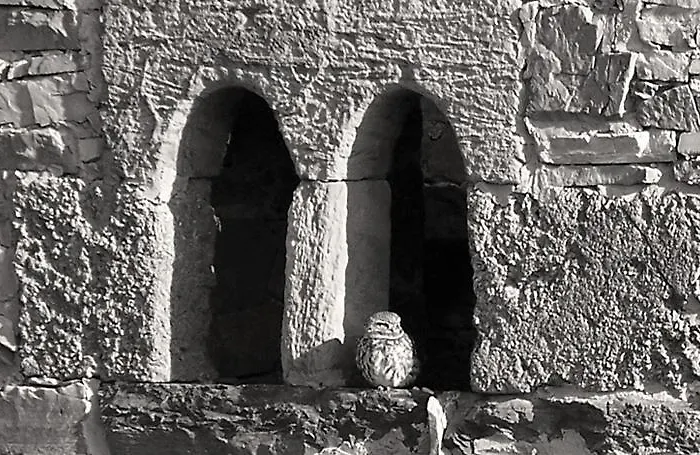 Landhaus Torre De Villademoros *