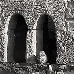 منزل ريفي Torre De Villademoros *