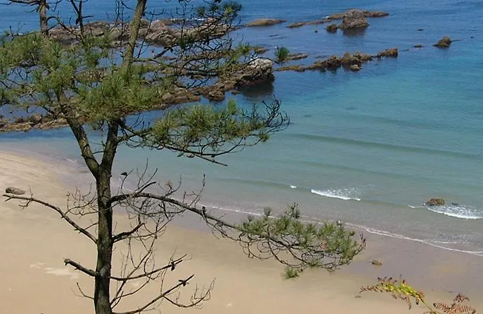 Torre De Villademoros Casa rural